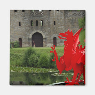 Íman Europa, País de Gales, Cardiff. Castelo de Cardiff