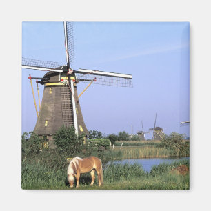 Íman Europa, Países Baixos, Holanda do Sul, Kinderdijk.