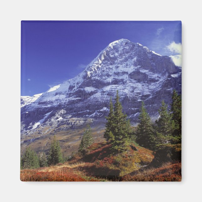 Íman Europa, Suíça, Eiger. Cores de outono abundam (Frente)