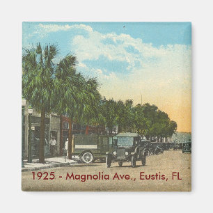 Íman EUSTIS, FL - 1925 - avenida da magnólia
