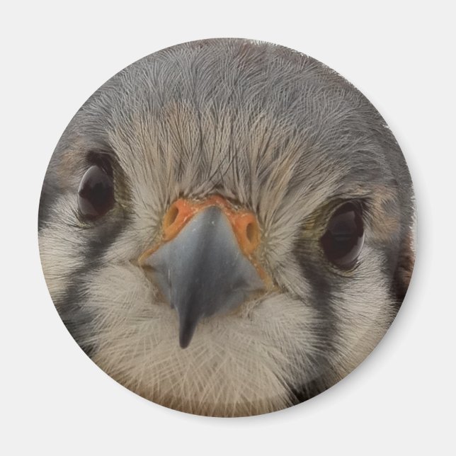 Íman Everett (Frente)