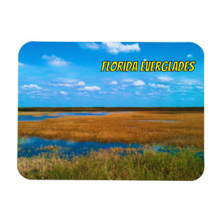 Íman Everglades da Flórida Sawgrass, Céu e Reflexos