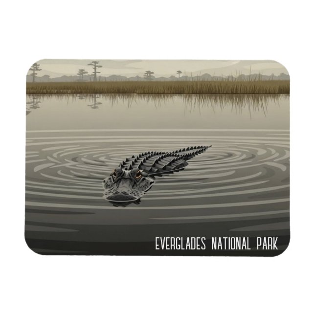 Íman Everglades Florida Alligator Travel (Horizontal)
