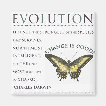 Evolução