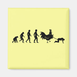 Íman Evolução do frango