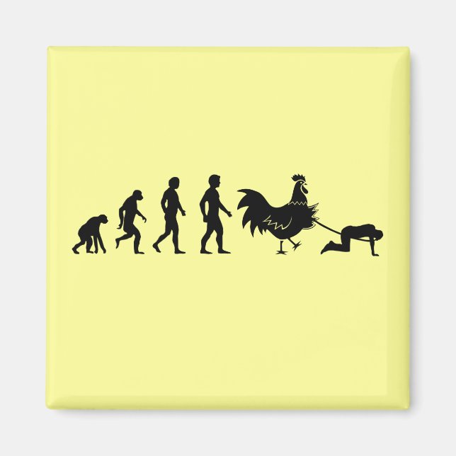 Íman Evolução do frango (Frente)