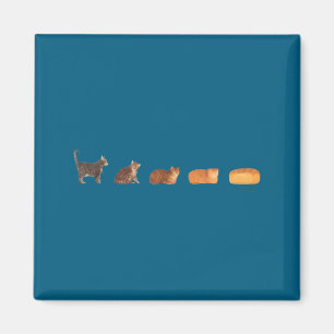Íman Evolução do pão de gato engraçado gato mãe gatinho