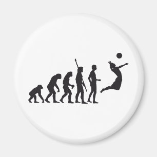 Íman evolution volleyball