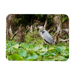 Íman Excelente Blue Heron