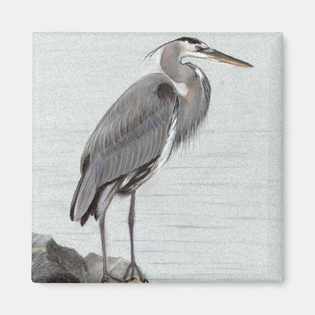 Íman Excelente Blue Heron (Frente)