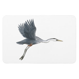 Íman Excelente Blue Heron no ímã de flexi de voo