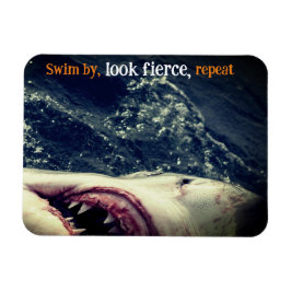 Íman Excelente de mandíbulas brancas de tubarão