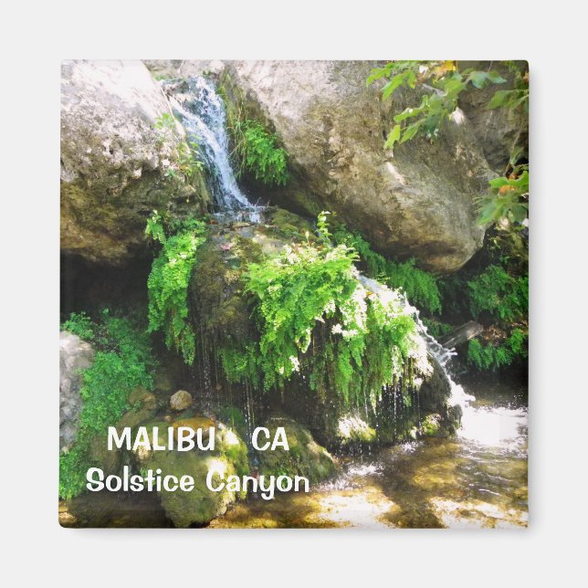 Íman Excelente Malibu Magnet! (Frente)