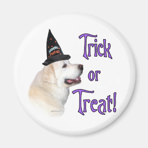 Íman Excelente Pirenéus Trick