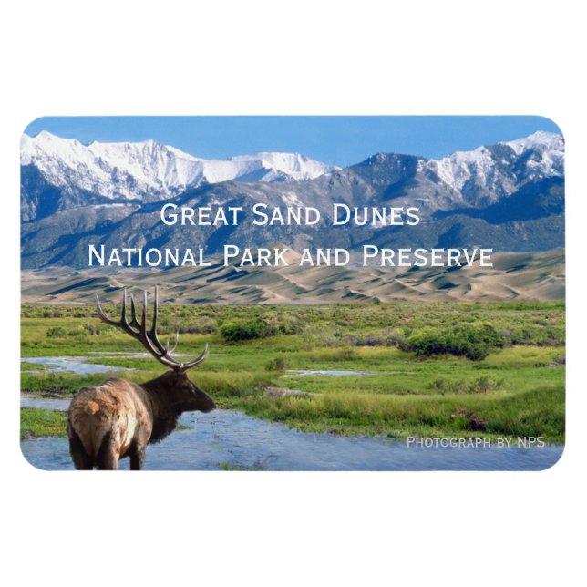 Íman Excelente Sand Dunes National Park Magnet (Horizontal)