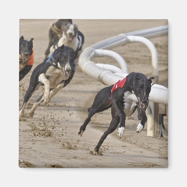 Íman Executar até a linha (Frente)