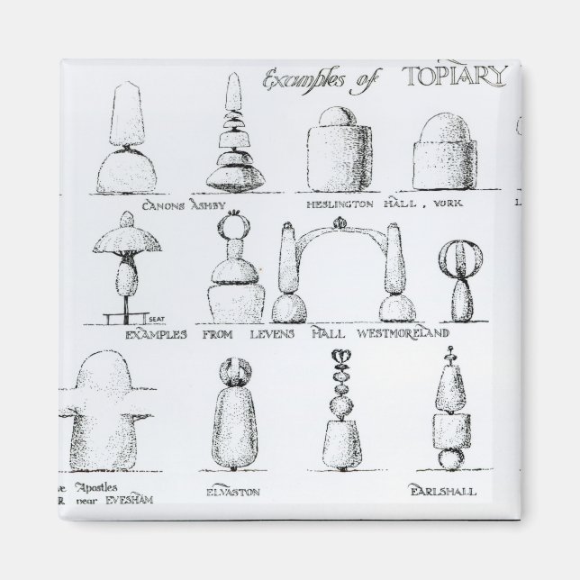 Íman Exemplos de trabalhos de Topiary, 1902 (gravura) ( (Frente)