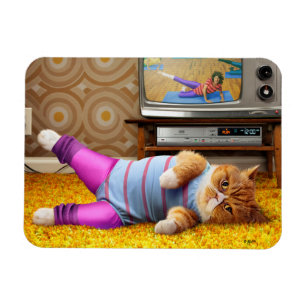 Íman Exercício de gatos