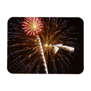 Íman Exibição de fogos de artifício no rio Savannah