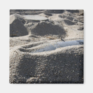 Íman Exibição estática de uma shell de equipamento