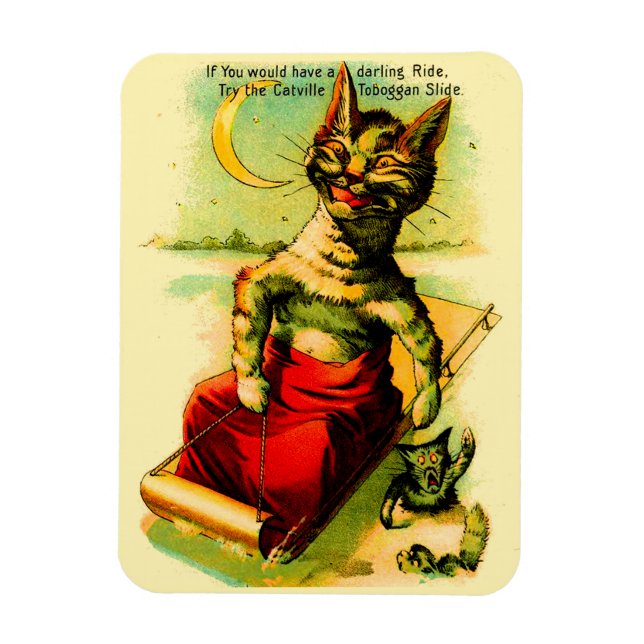 Íman Experimente o Slide Toboggan Catville (Vertical)