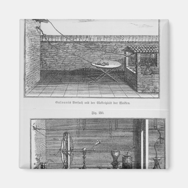 Íman Experimento com sapos de Louis Galvani (Frente)