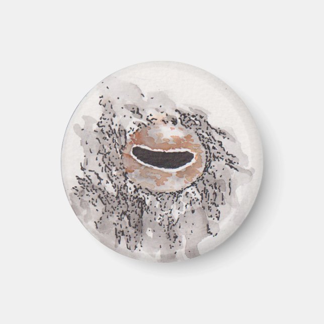 Íman Eye of the octopus – Gaze Collection (Frente)