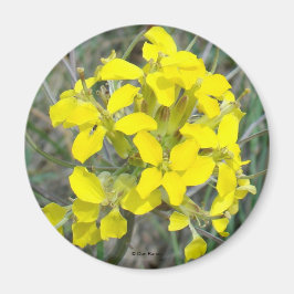 Íman F14 Flores Silvestres Amarelas