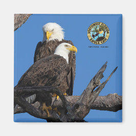 Íman F23 e M15 - Uma nova era no ninho