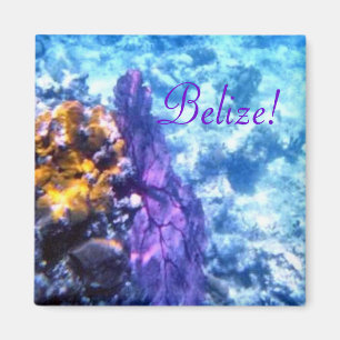 Íman Fã de mar de Belize