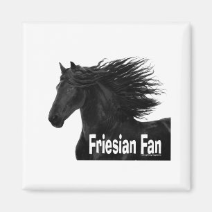 Íman Fã do frisão
