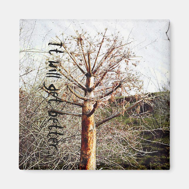 Íman Fábrica de Ferula Seca (Frente)