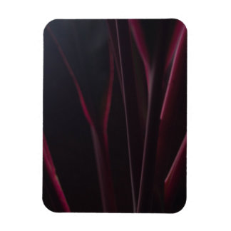 Íman Fábrica de Ti Havaiana