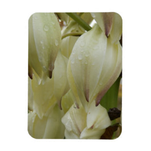 Íman Fábrica de Yucca