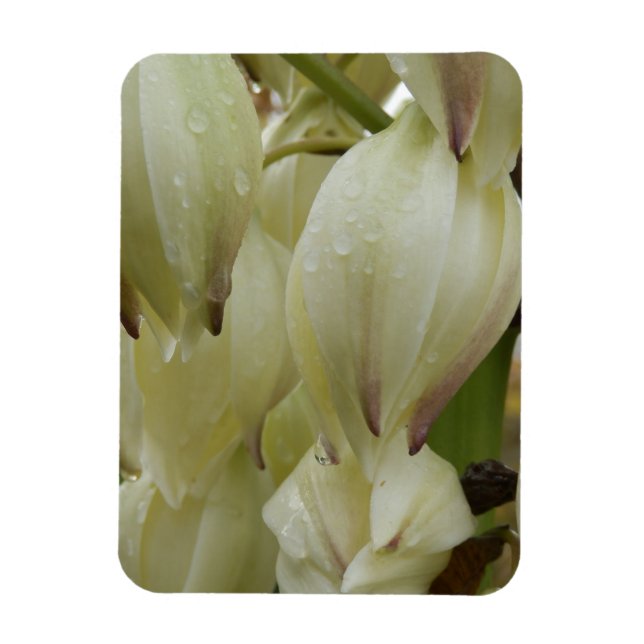 Íman Fábrica de Yucca (Vertical)