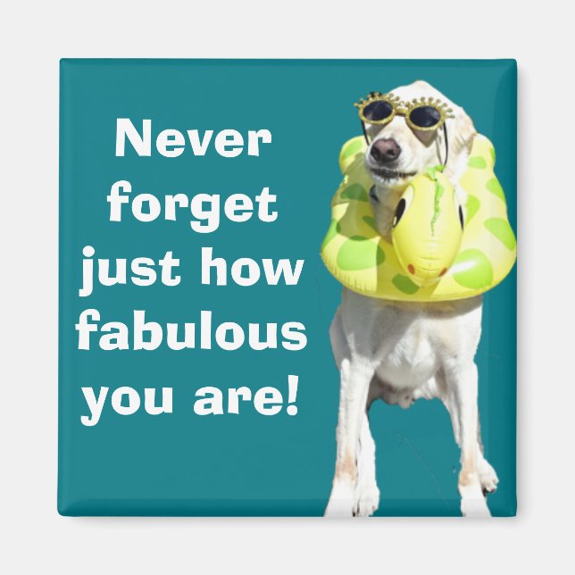 Íman Fabuloso (Frente)