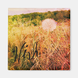 Íman Faça um desejo