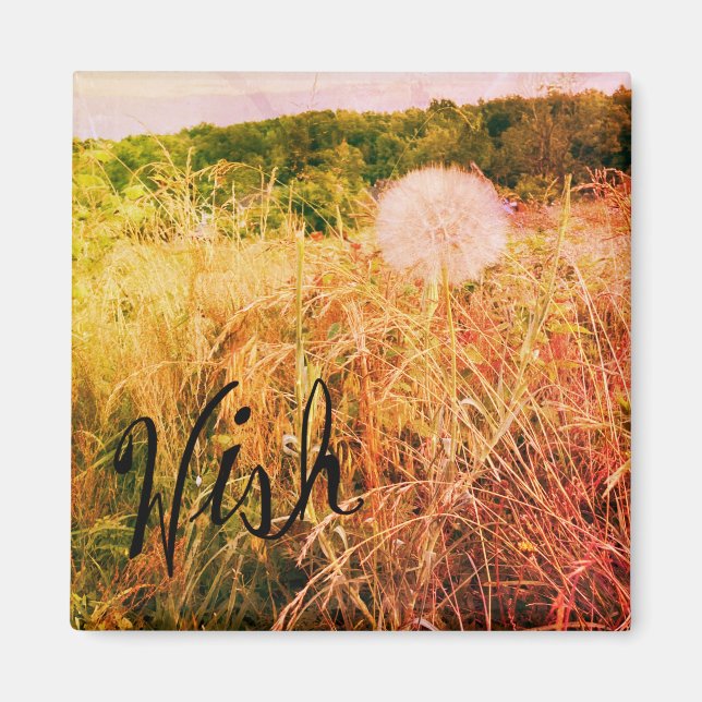 Íman Faça um desejo (Frente)