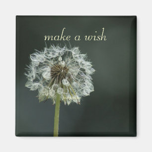 Íman faça um desejo