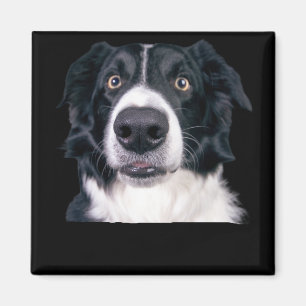 Íman Face de Cachorro Preto e Branco