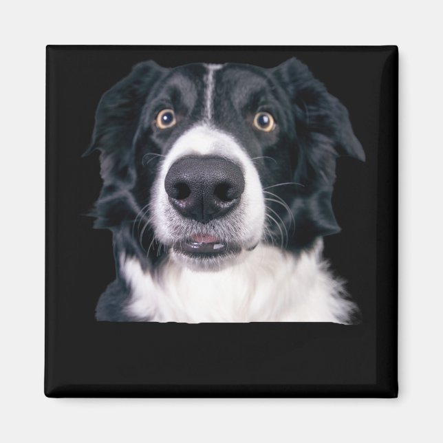 Íman Face de Cachorro Preto e Branco (Frente)