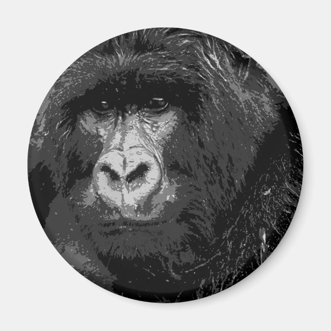 Íman Face de Gorilla (Frente)