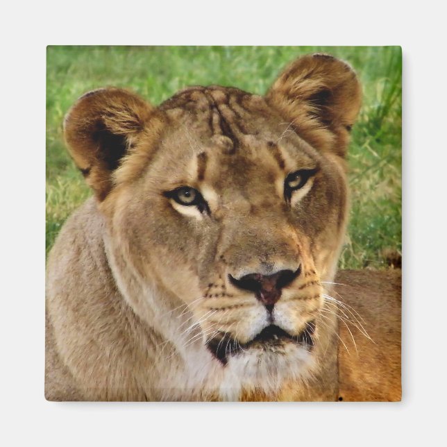 Íman Face de uma Rainha (Frente)