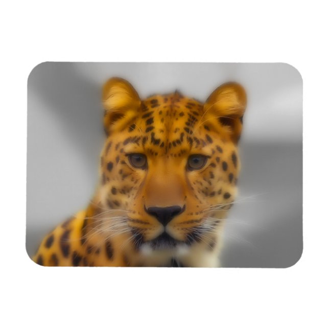 Íman Face Leopardo (Horizontal)