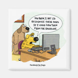 Íman Facebook para Cães