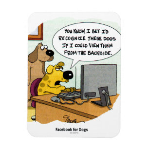 Íman Facebook para Cães