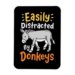 Íman Facilmente Distraído Por Donkeys