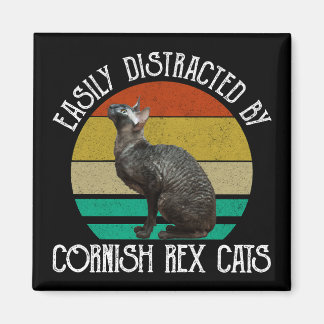 Íman Facilmente Distraído Por Gatos Cornish Rex