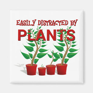 ÍMAN FACILMENTE DISTRAÍDO POR PLANTAS