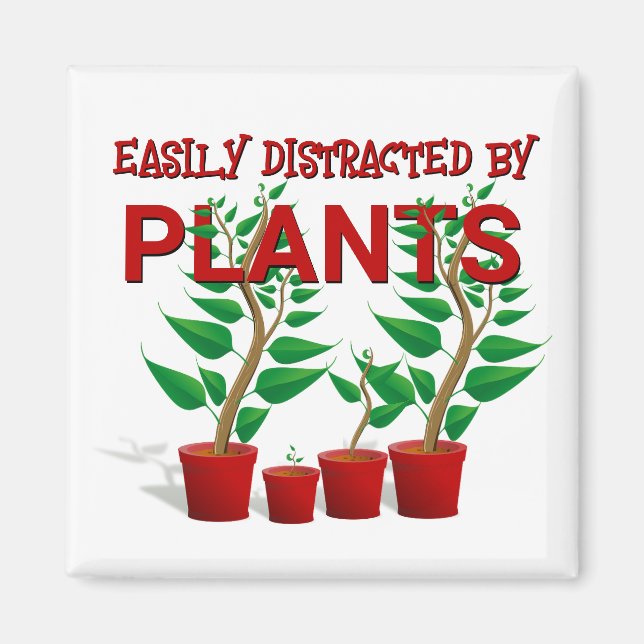 ÍMAN FACILMENTE DISTRAÍDO POR PLANTAS (Frente)